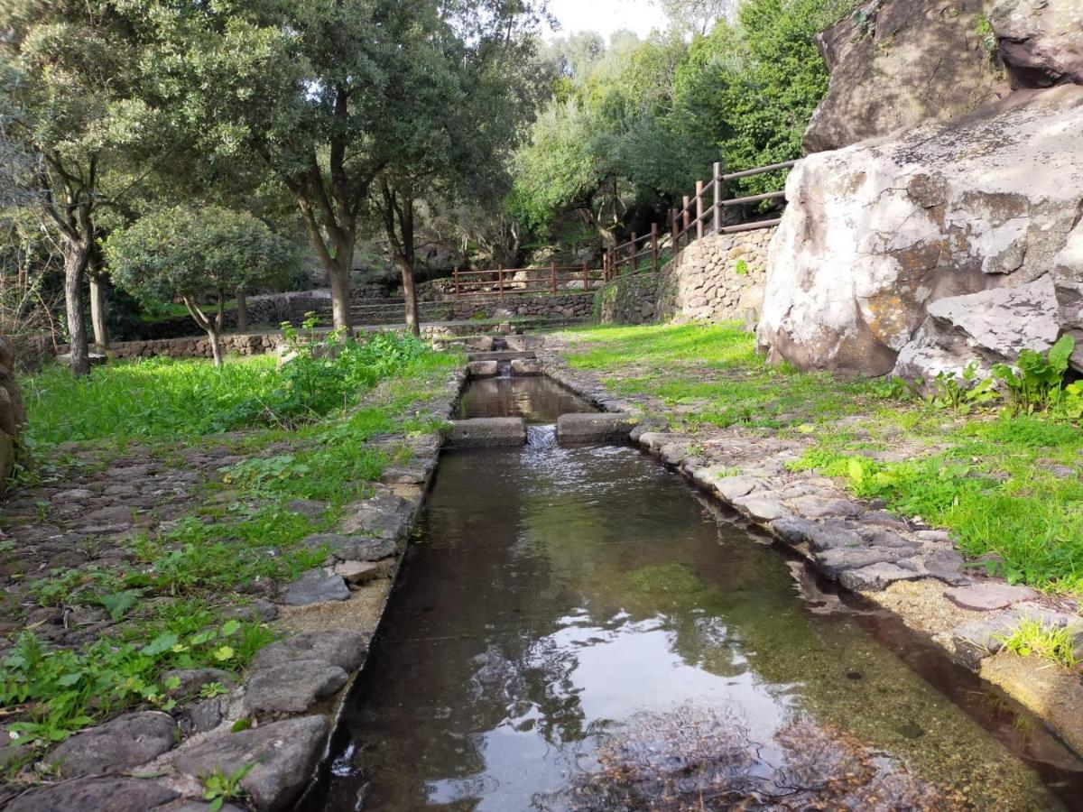 Sa Banita Affittacamere Bauladu Exteriér fotografie